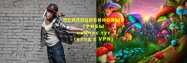 не бодяженный Аркадак