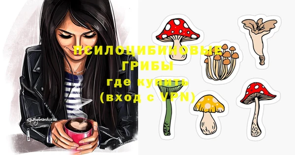не бодяженный Аркадак