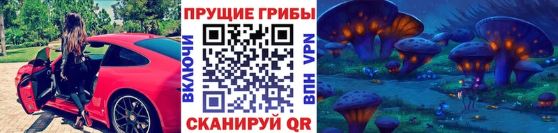 Галлюциногенные грибы Psilocybe  Ртищево 
